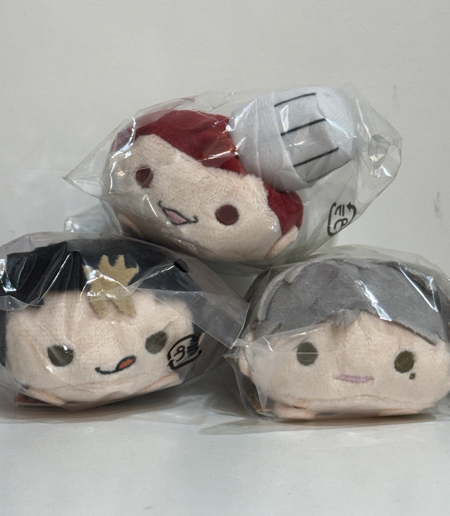 排球少年 十週年趴娃 菅原/西谷/天童