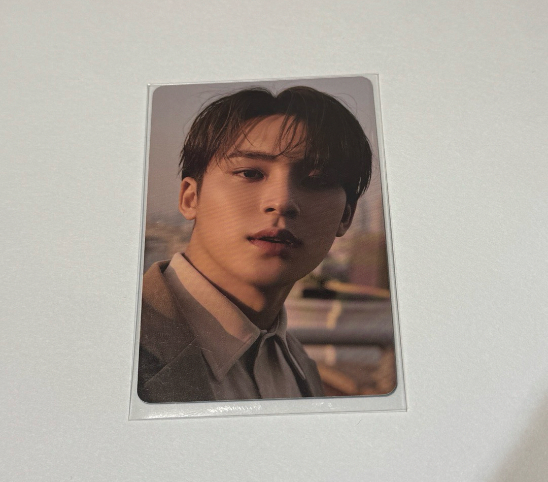 貴氣狗狗沙龍照