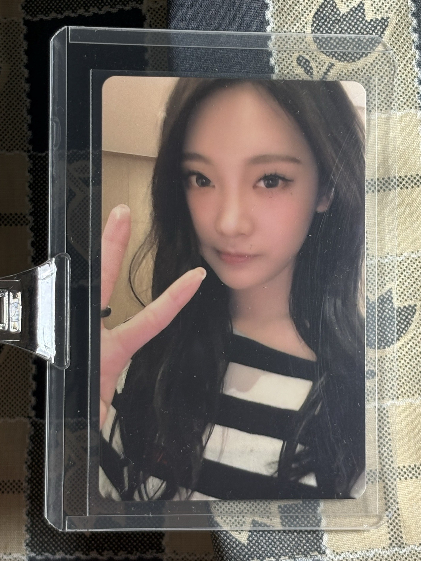 比耶條紋上海寧