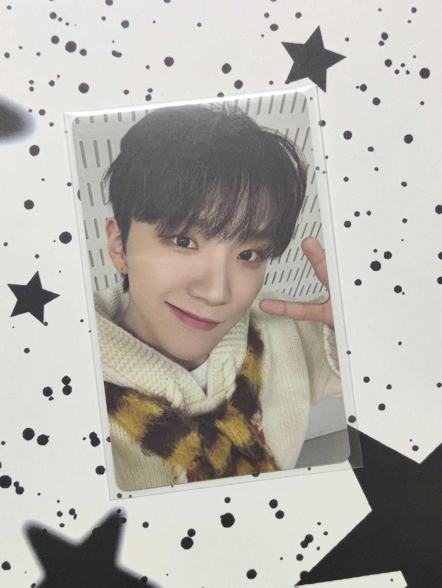 BND｜世首萌熊寶貝