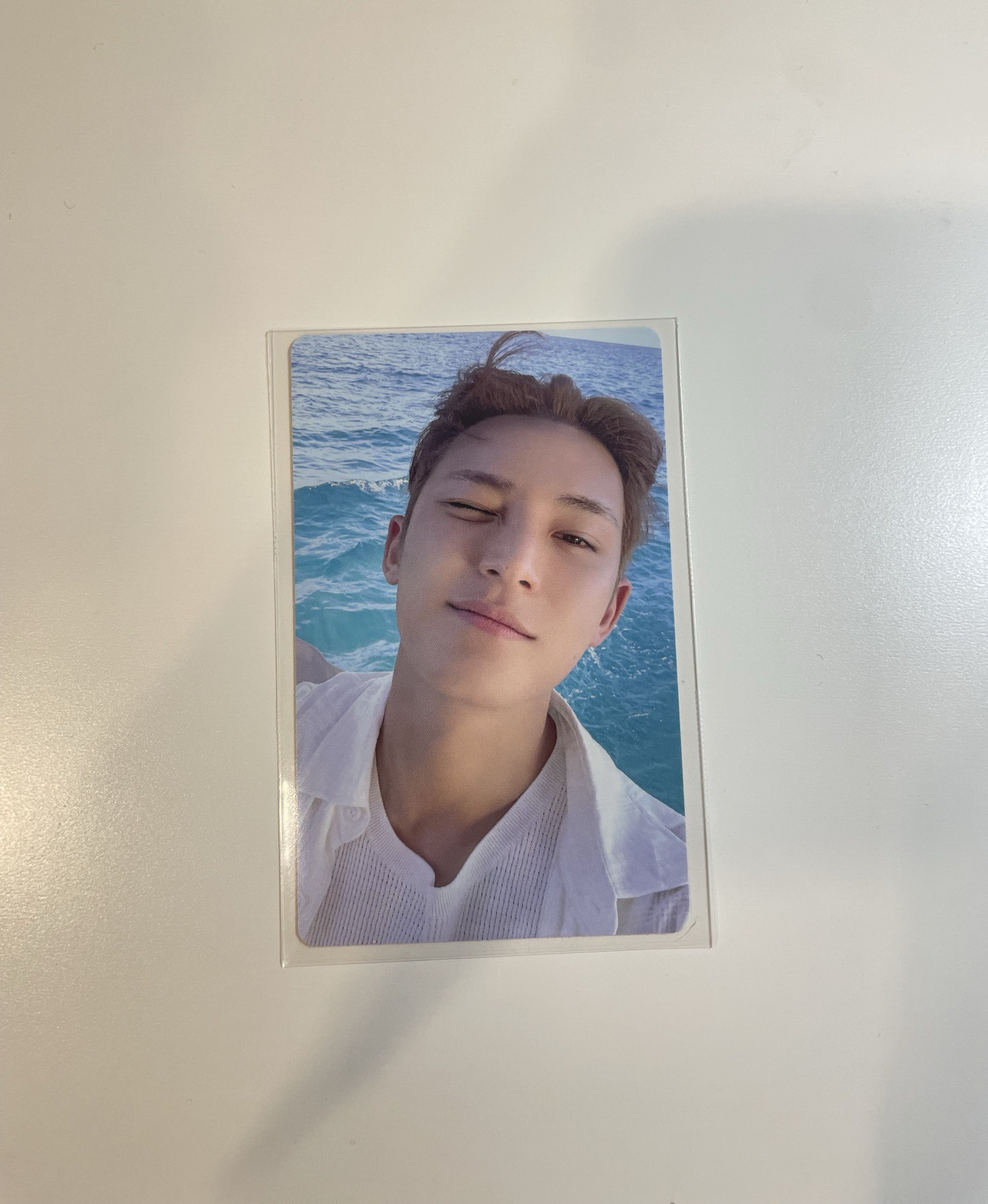 奎wvs線上簽售卡