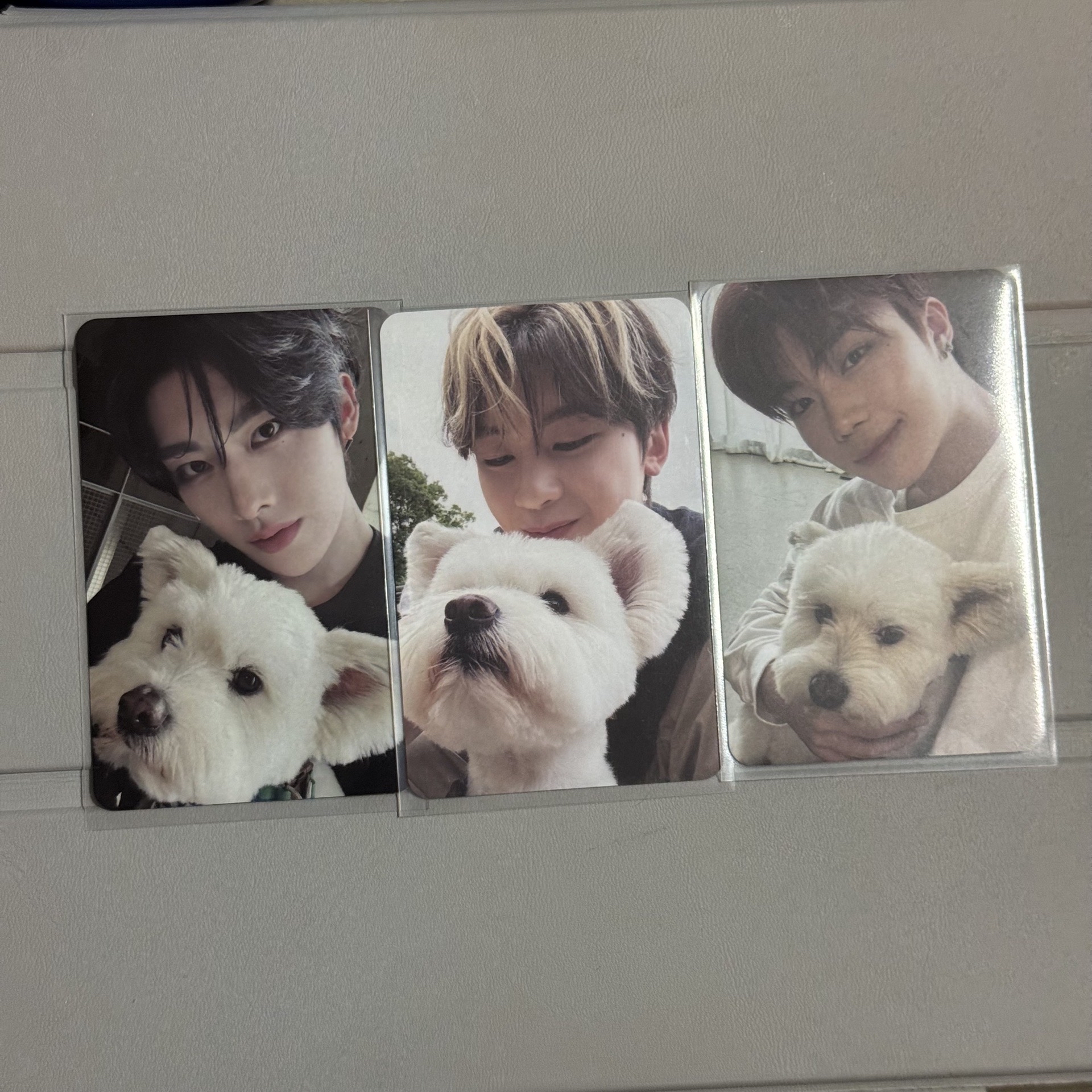 Zb1 正規團封 狗狗卡 리키 매튜 건욱