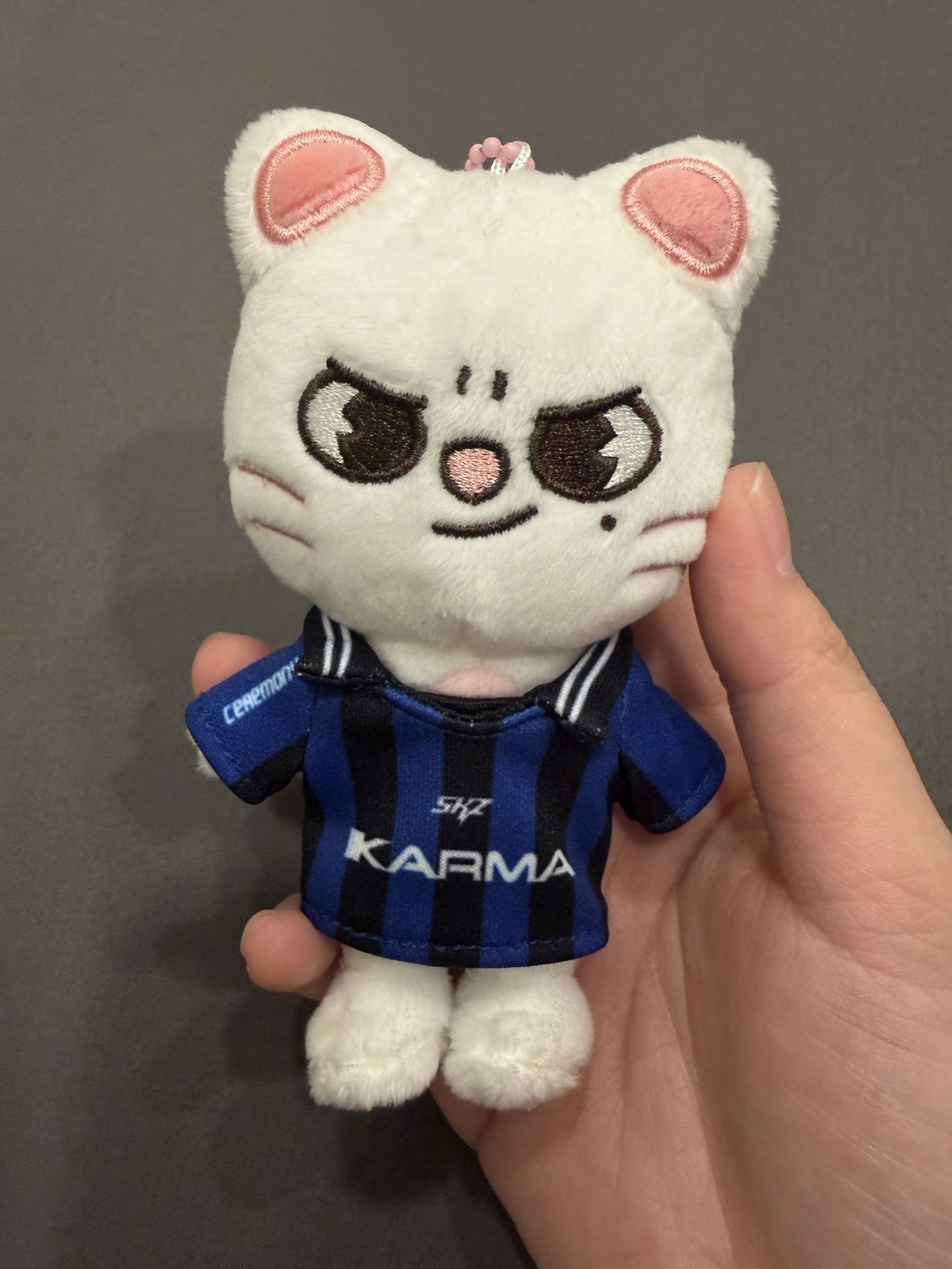 KARMA 辰娃專（已掃）