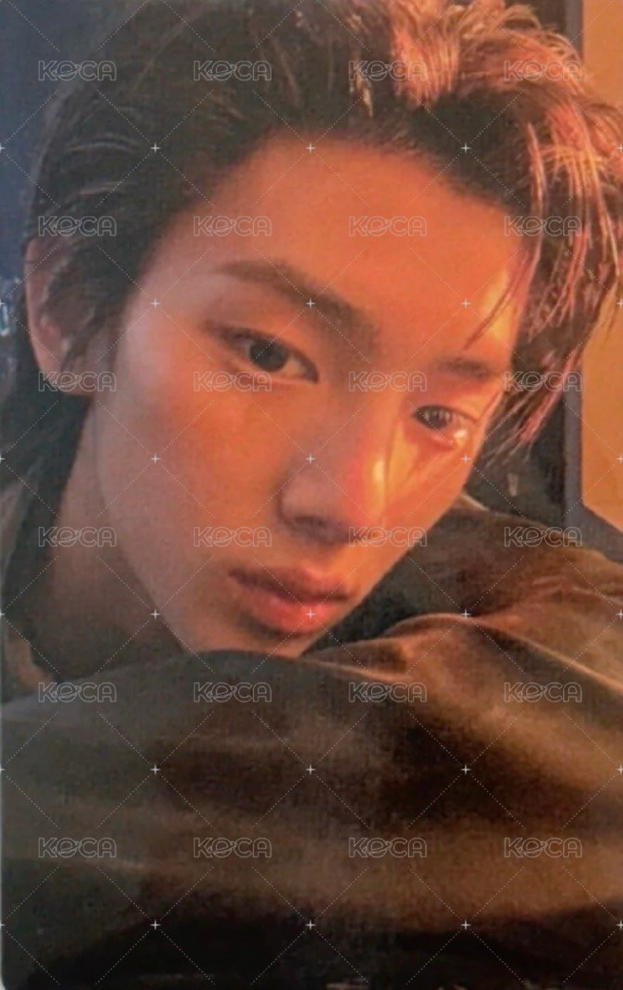 背頭訓+日咖幸運訓合售