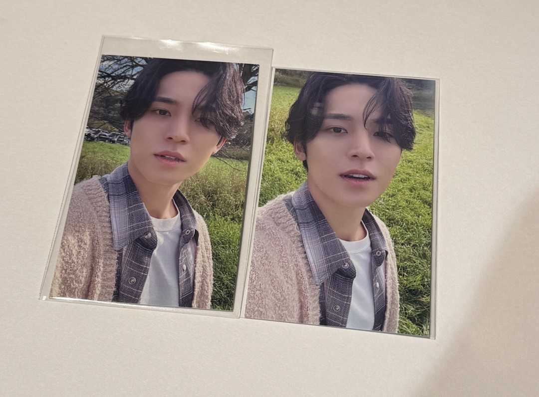 陽光小狗（左）