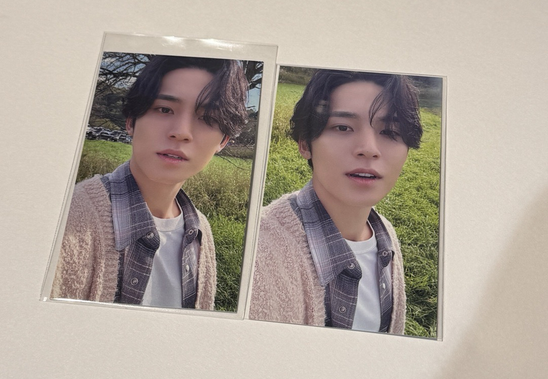 陽光小狗（右）