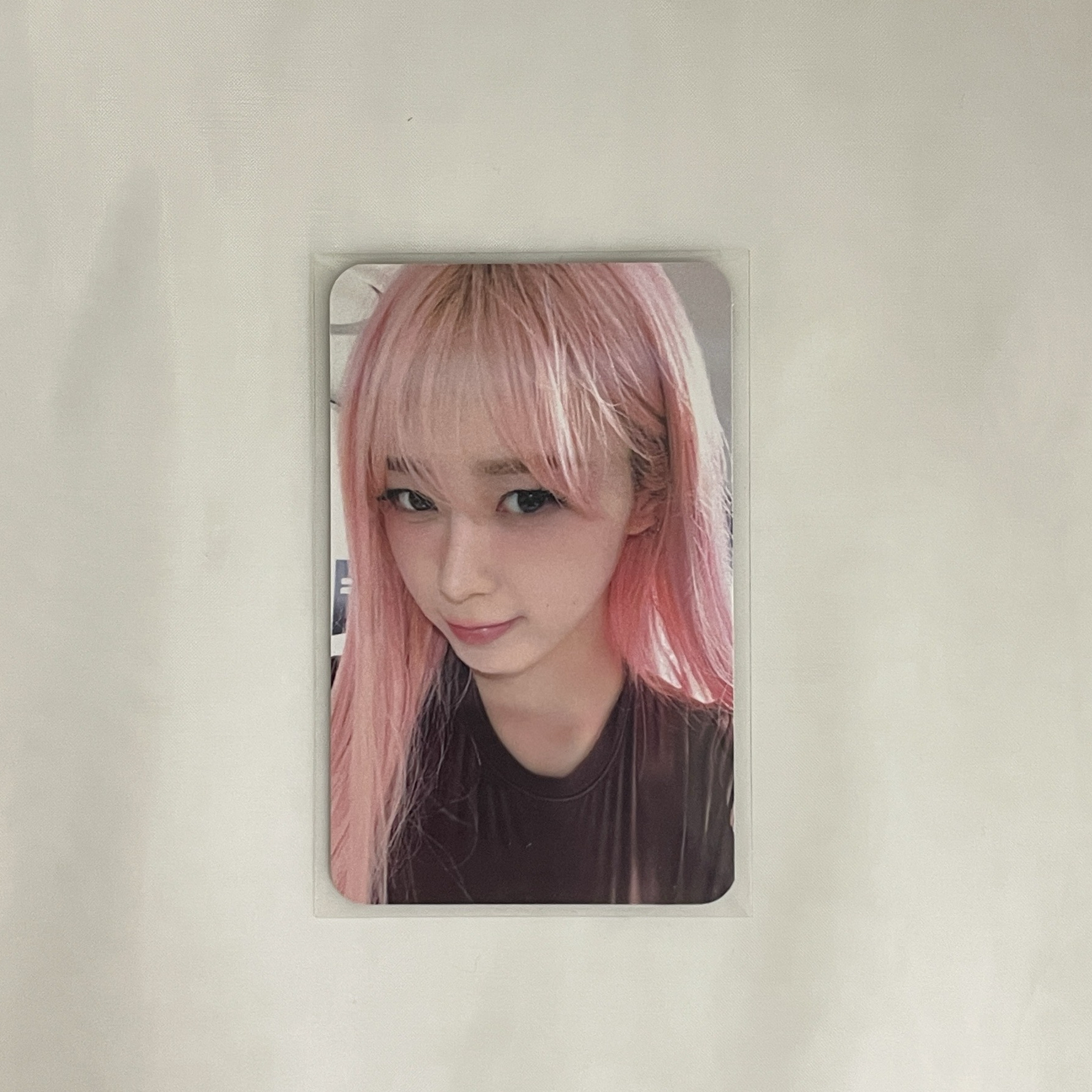 Whiplash ia 簽售卡 吉