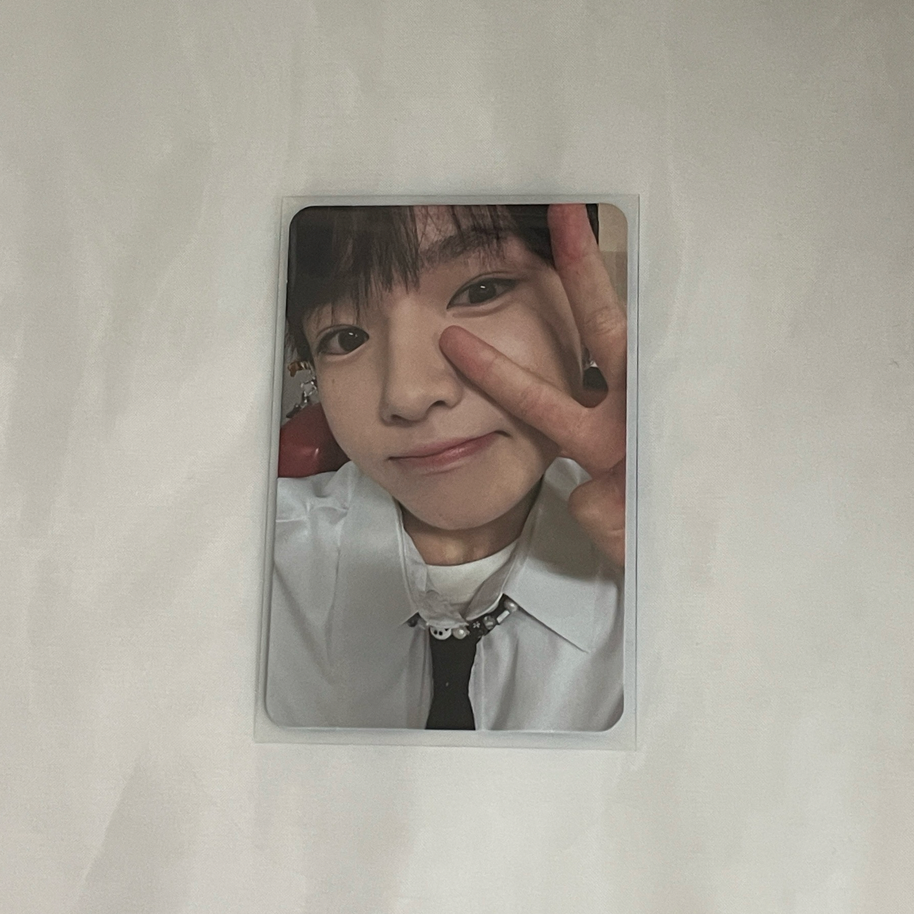 Steady 專輯卡 SAKUYA