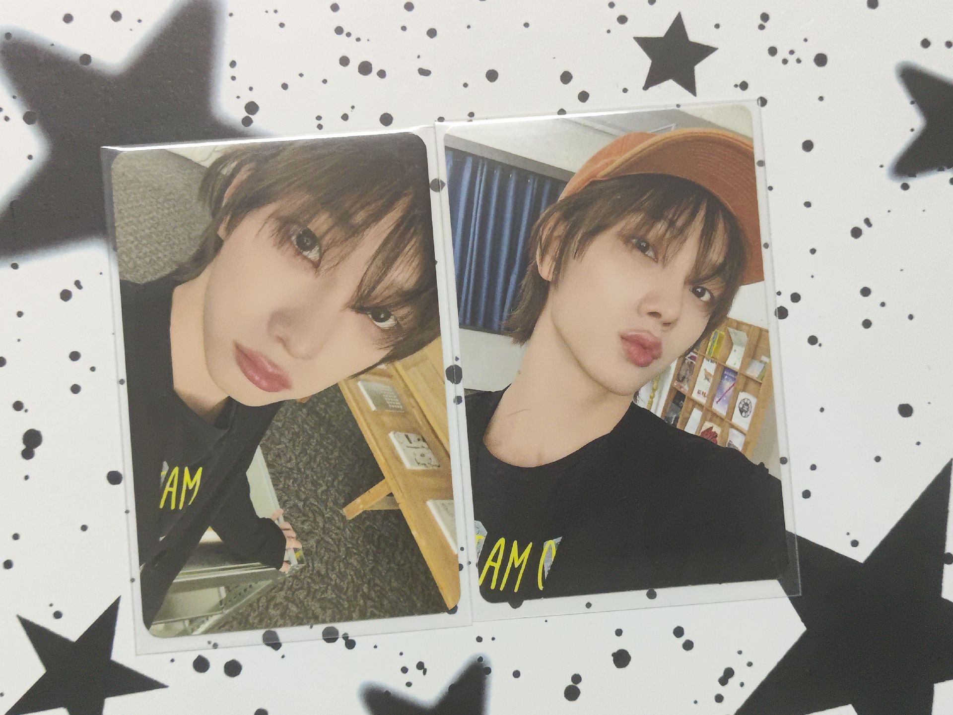 BND｜小貓怎麼變泰迪！？