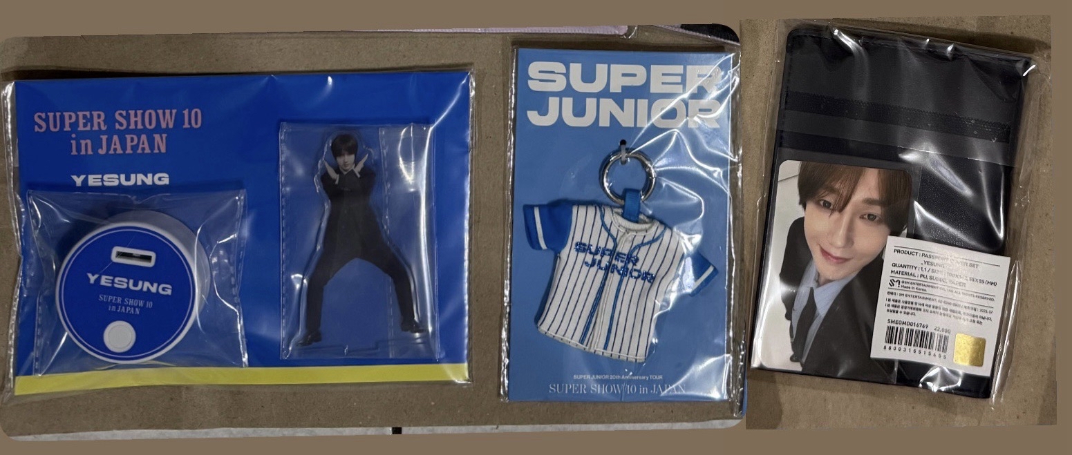 SS10藝聲發光立牌+球衣吊飾鑰匙圈+護照套小卡組