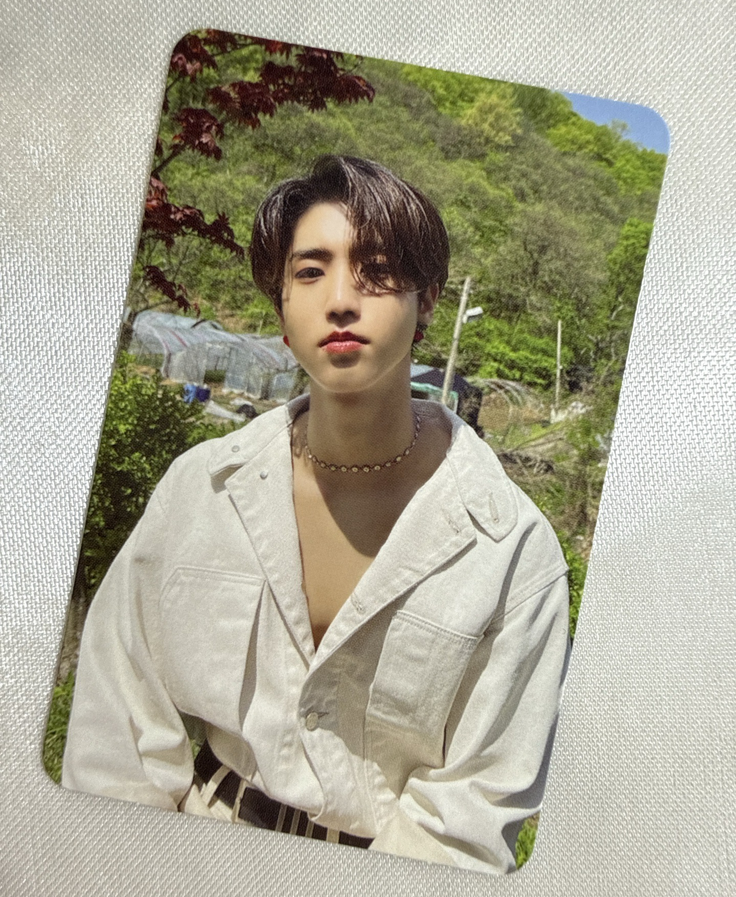 MAXIDENT target 特典卡 