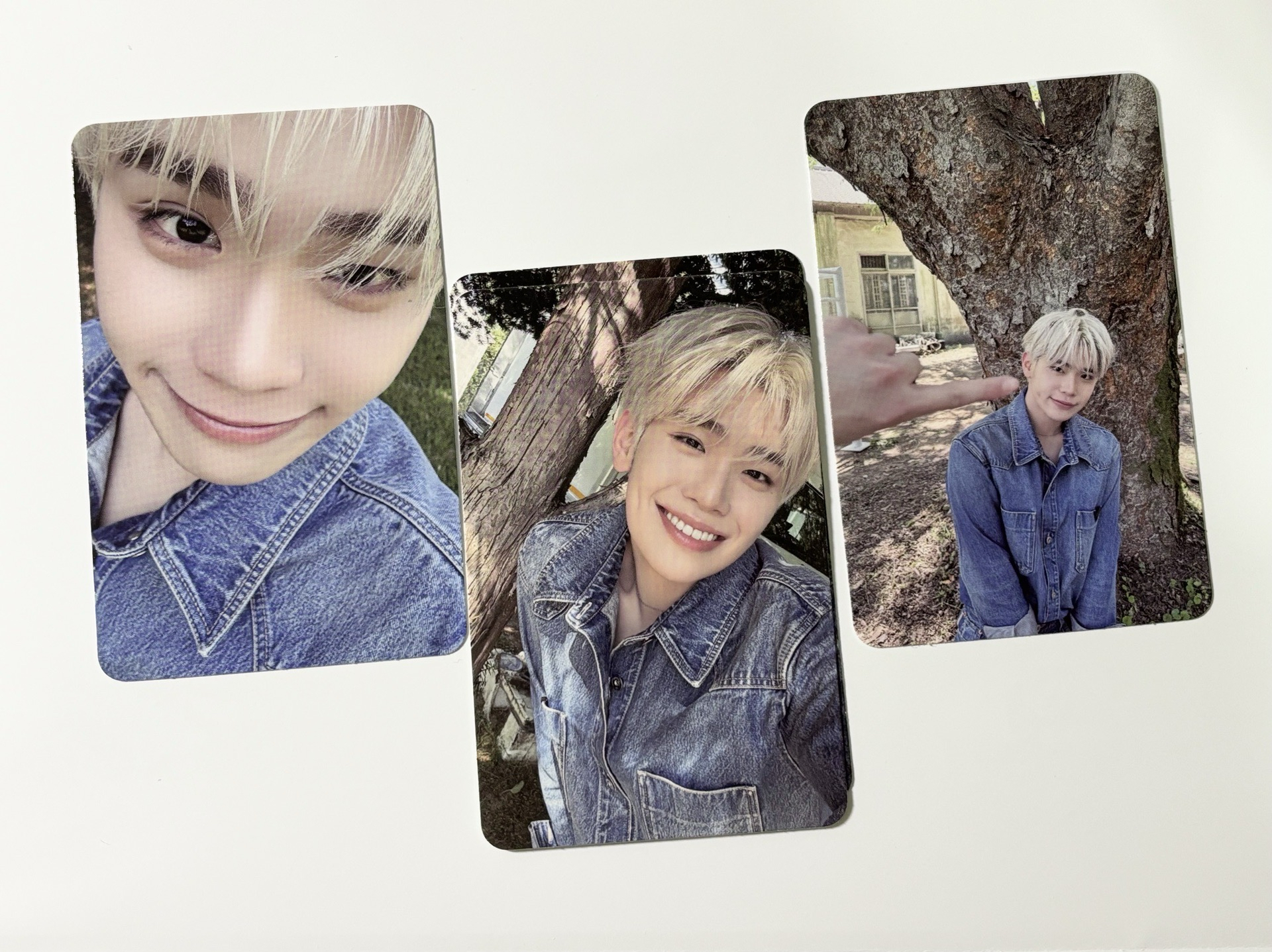 泰來｜Ordinary專卡