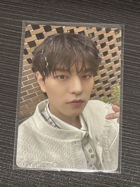 Stray Kids 昇玟 中背 數星星特典karma 