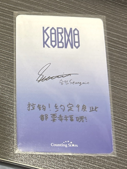 Stray Kids 昇玟 中背 數星星特典karma 