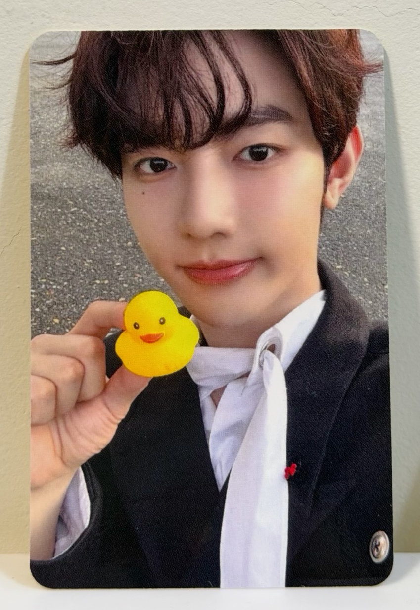 現貨/ZB1 迷五am簽售卡 鴨子（8張一套無辰✨）