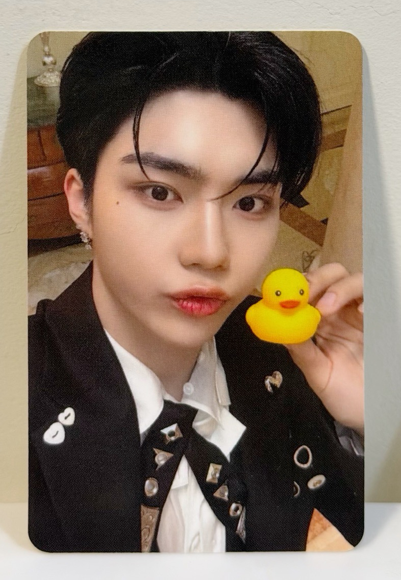 現貨/ZB1 迷五am簽售卡 鴨子（8張一套無辰✨）