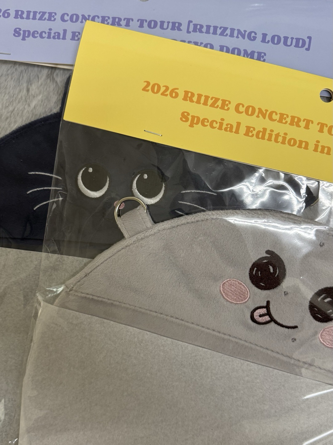 RIIZE東蛋場週 扇套 恩