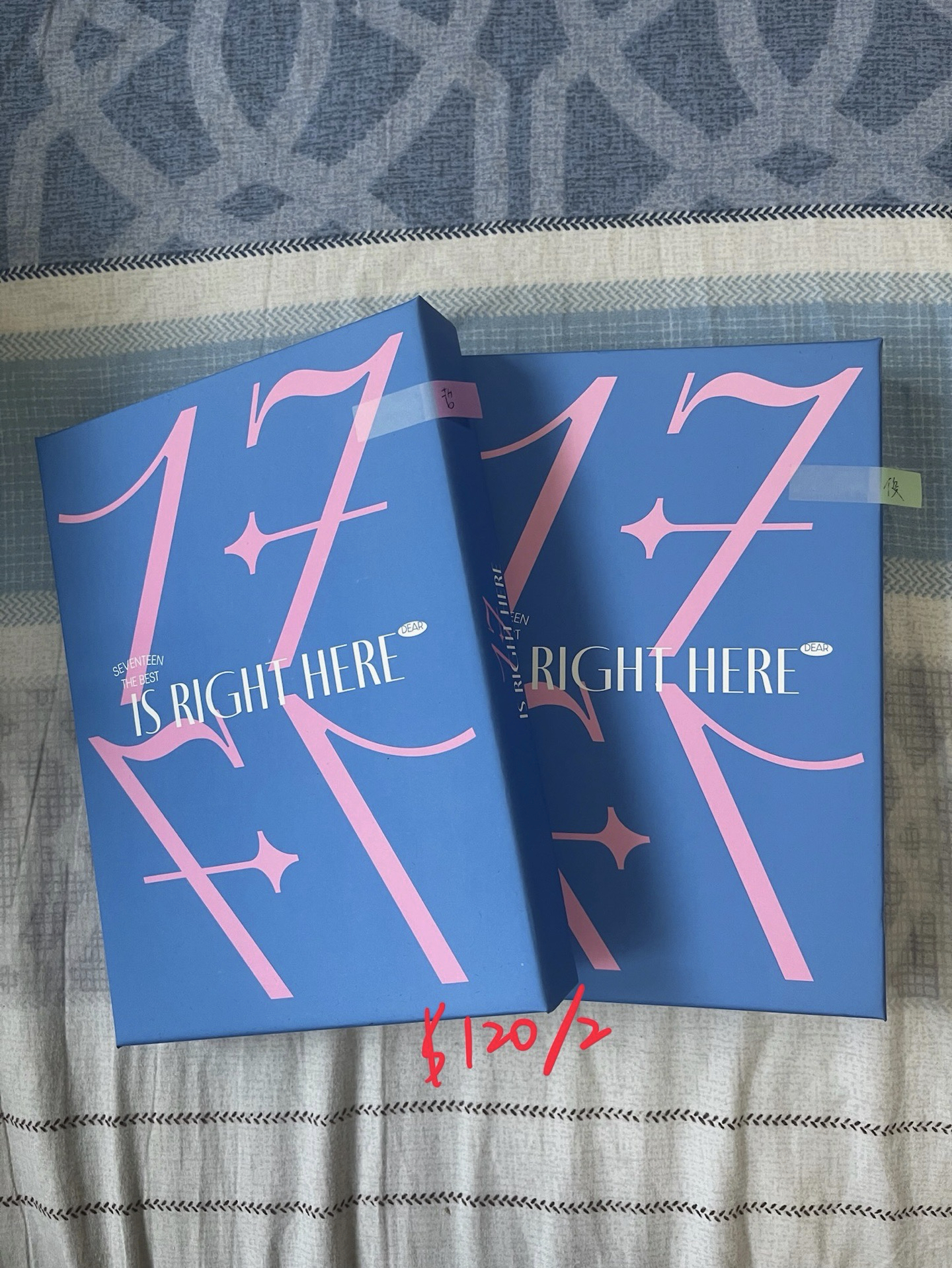 🩵精選專親愛盤