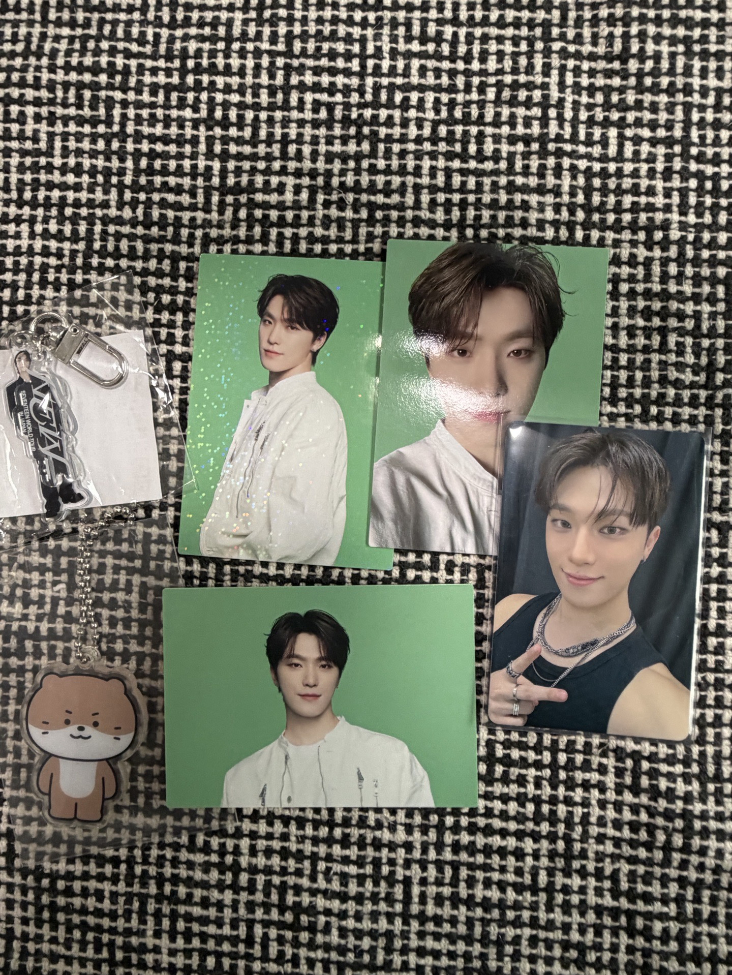 燦小盤（續會卡/follow again jp/miniteen)