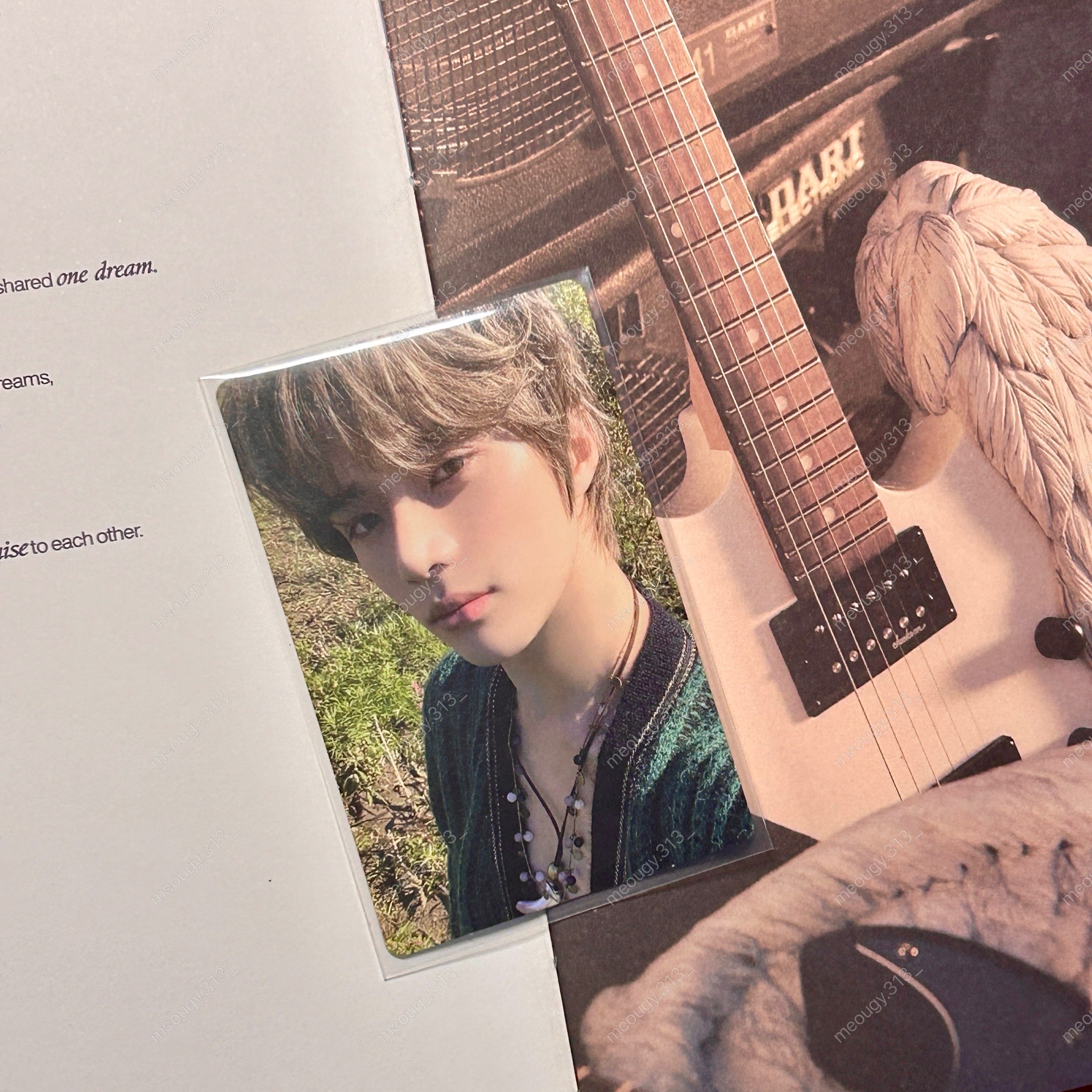 📎迷五 Daydream專卡 白日夢圭