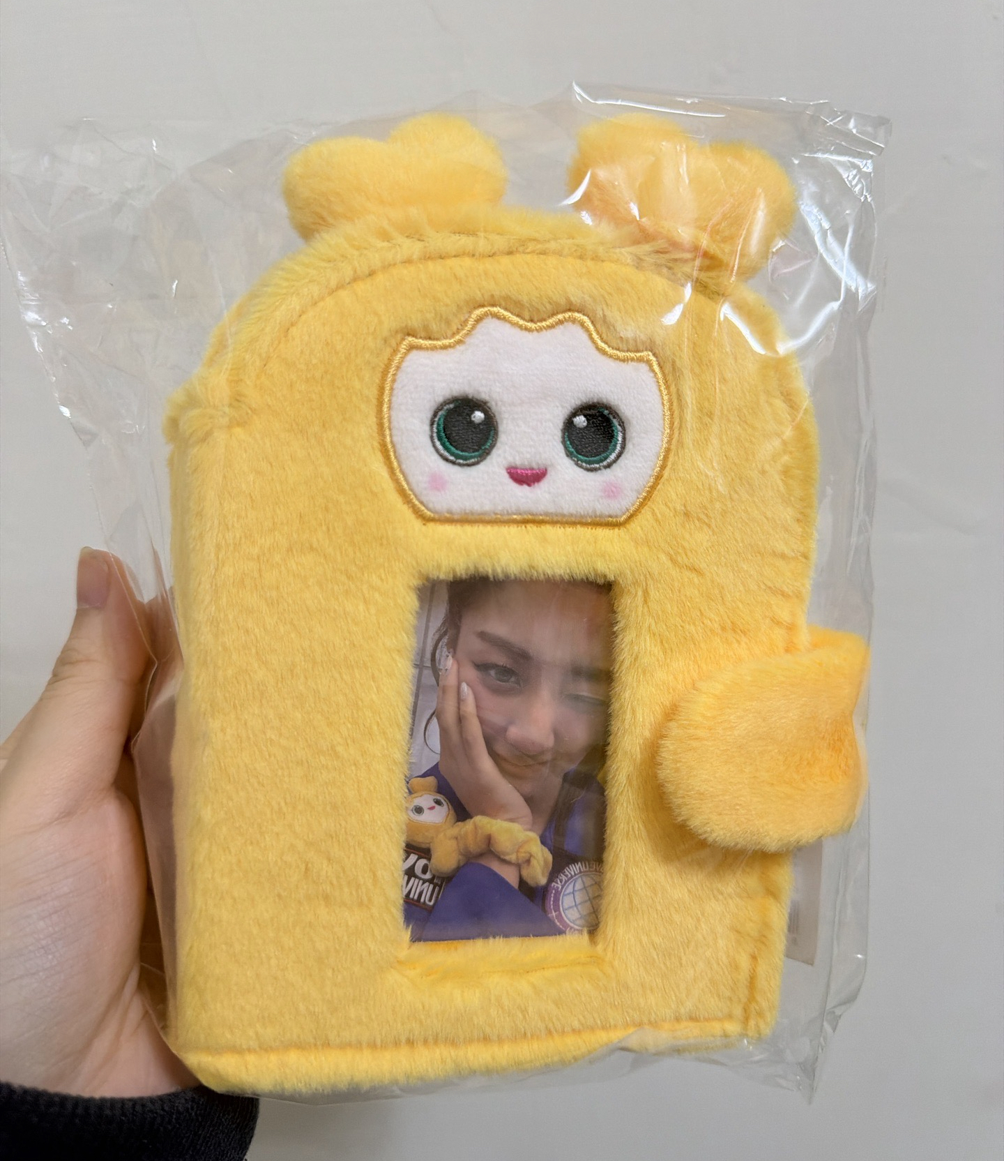 十週年 志效卡冊