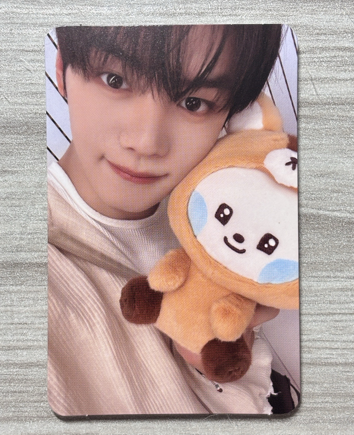 奎奎與奎尼尼滿額卡