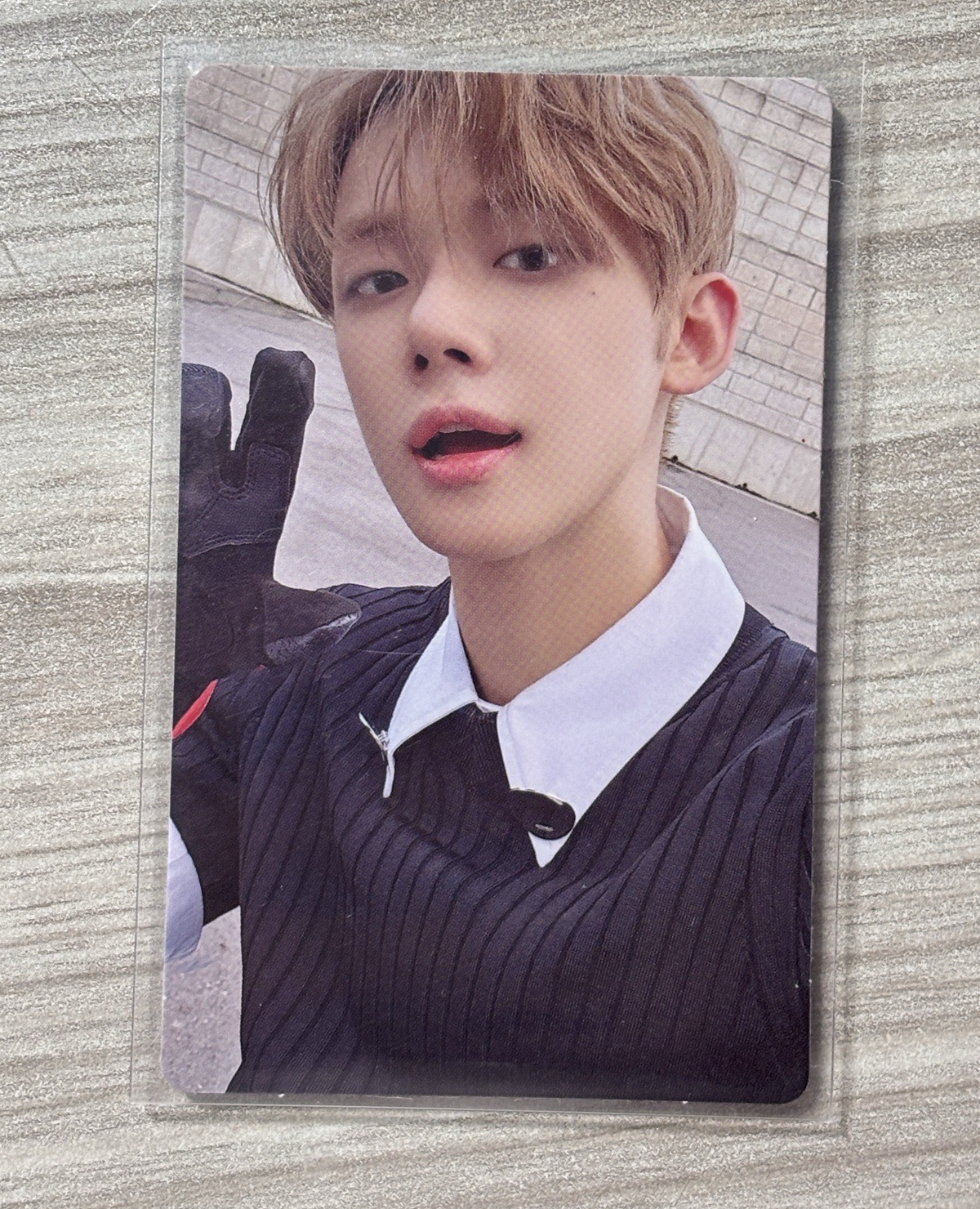 然竣貓爪wvs特典卡