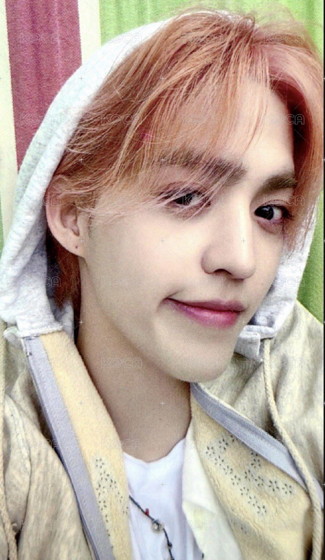 MINI12 環球 CARAT ver. 特典卡 