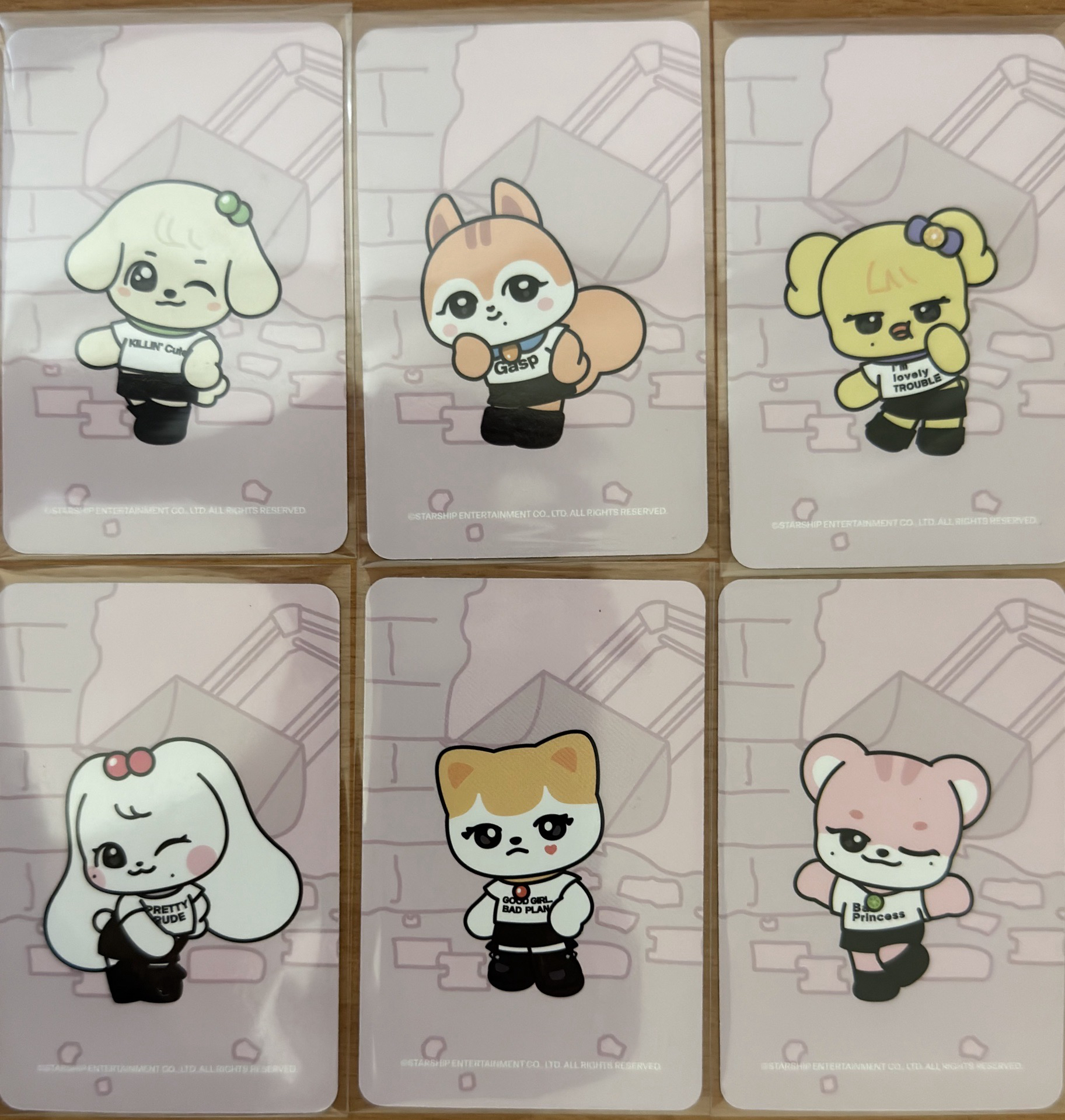 SW 5.0 簽售卡一套