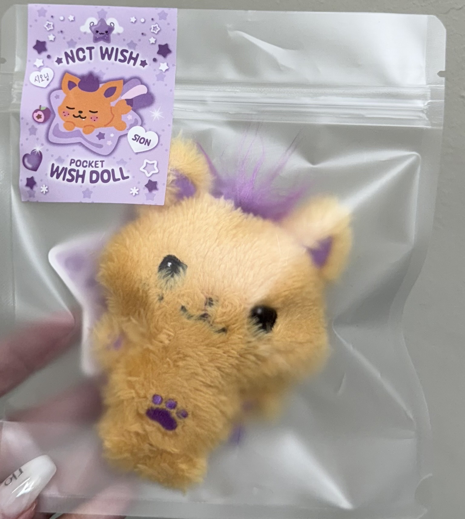 Sion口袋娃僅拆檢 🉑228面交！