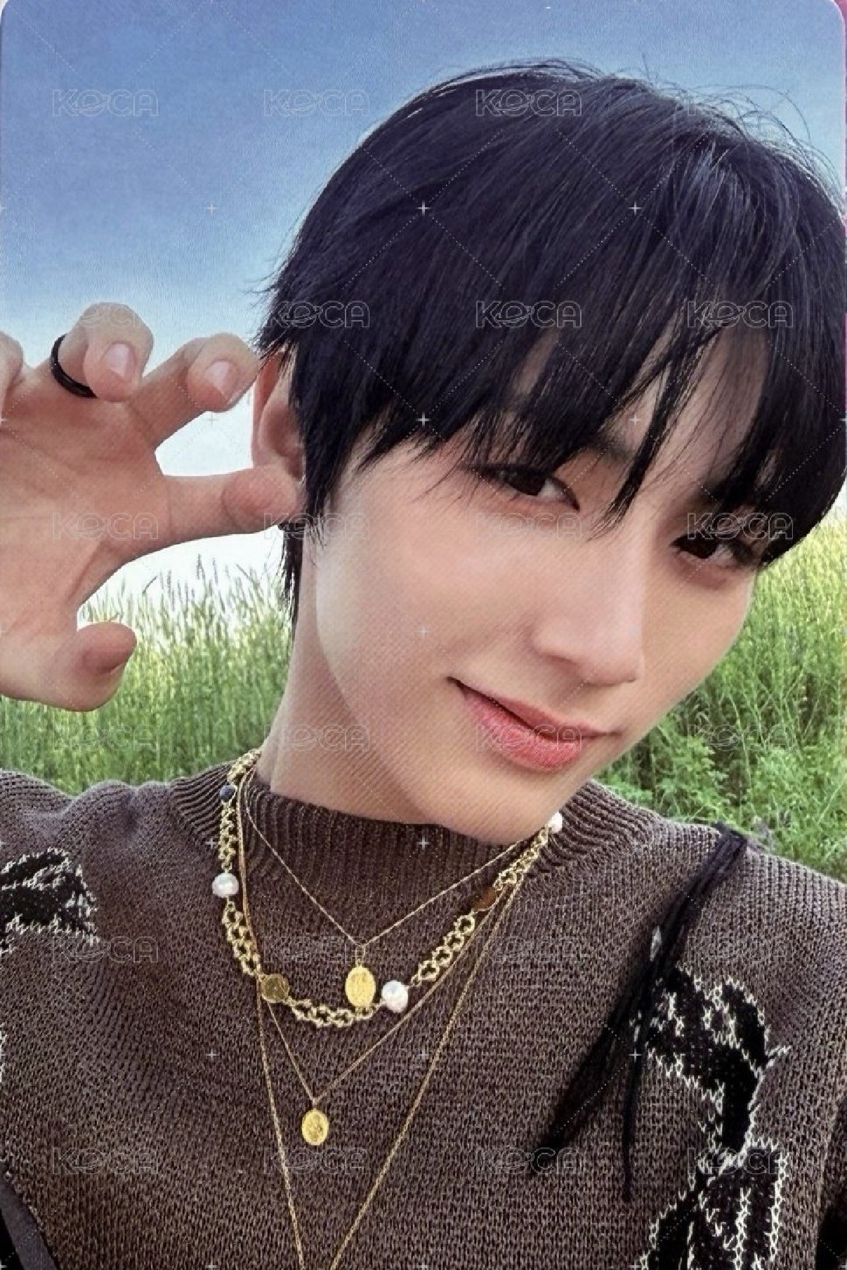 貓爪4 只是想試試看競標