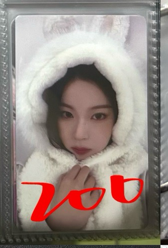 溫馨兔子圭（需帶🩵