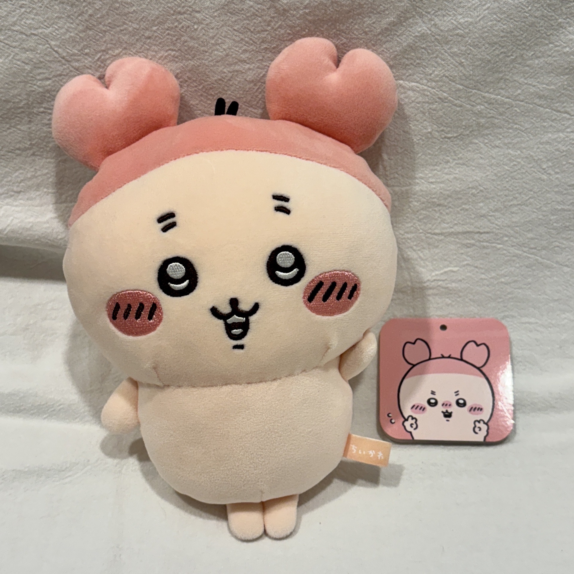 吉伊卡哇 古本 小甲蟲