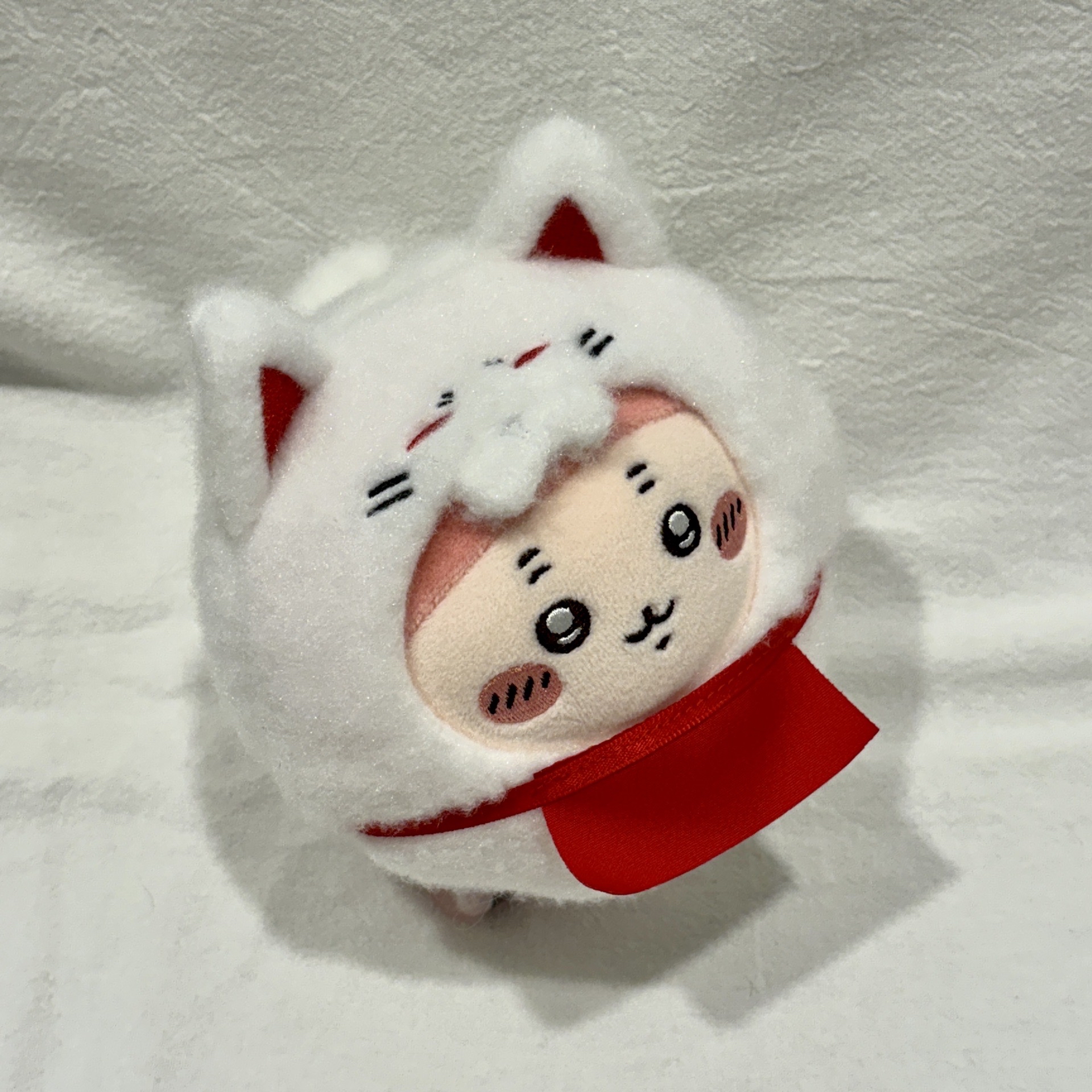 吉伊卡哇 古本 小甲蟲