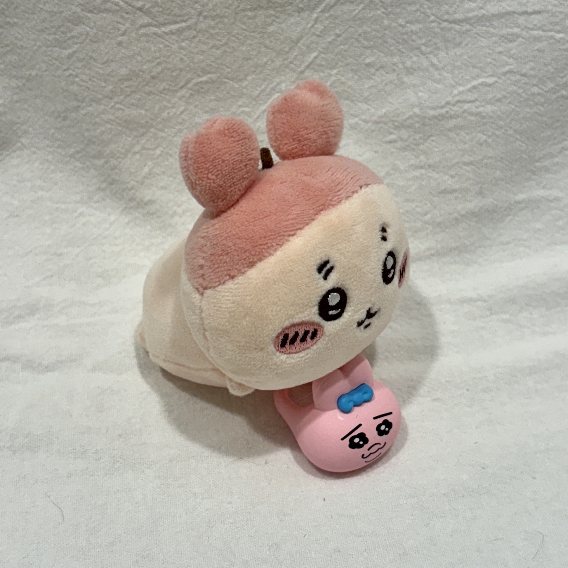 吉伊卡哇 古本 小甲蟲