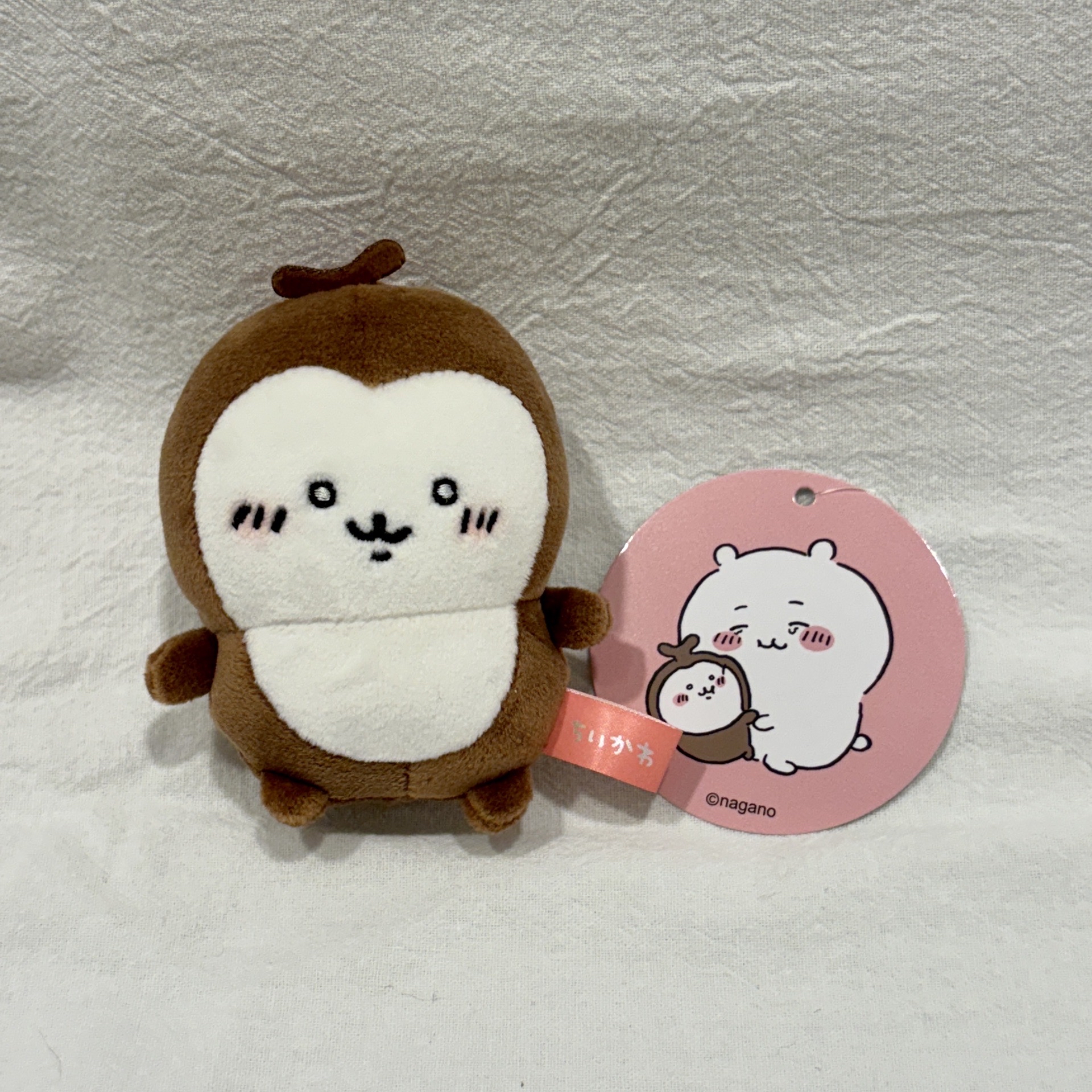 吉伊卡哇 古本 小甲蟲