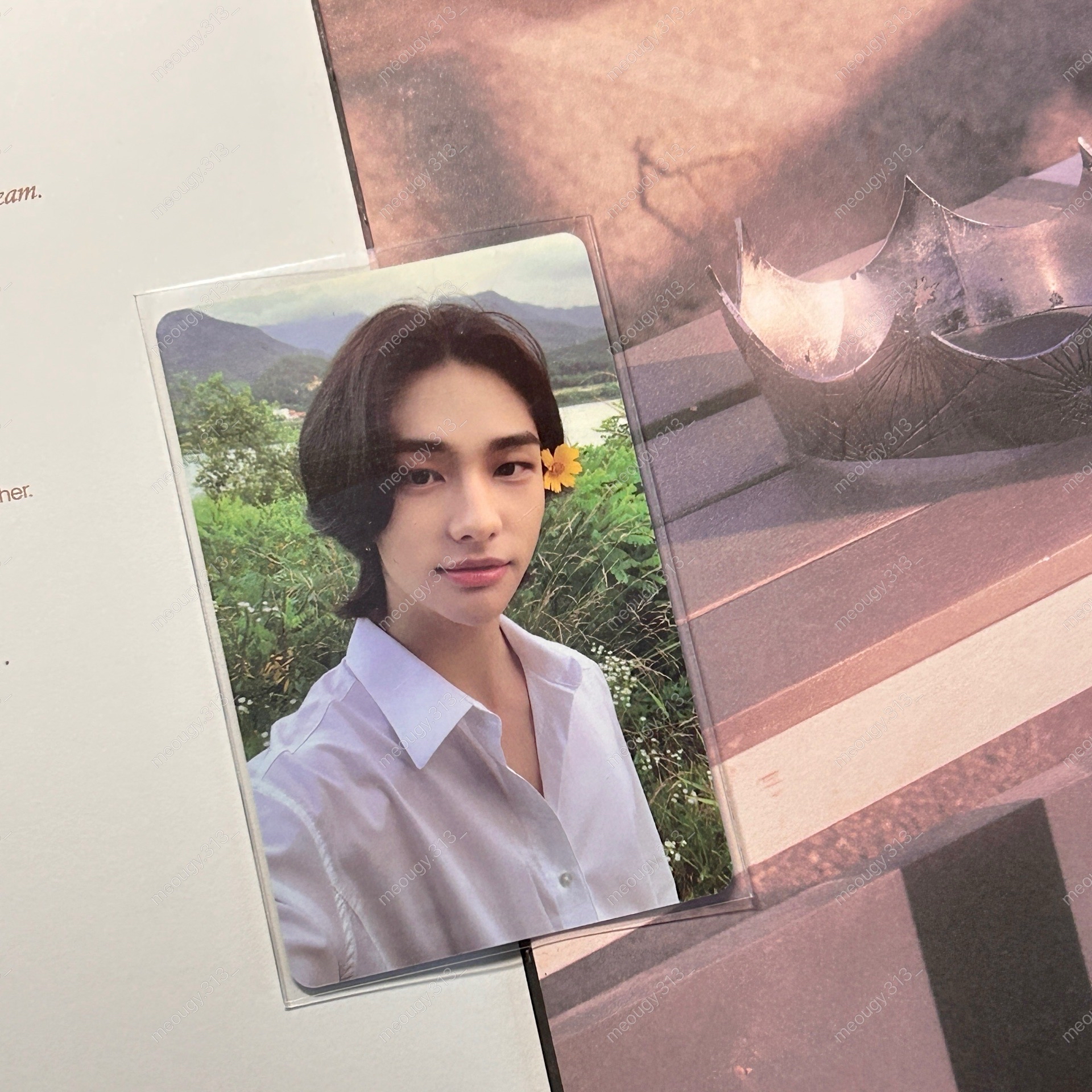 NOEASY專卡 Limited 花卡辰