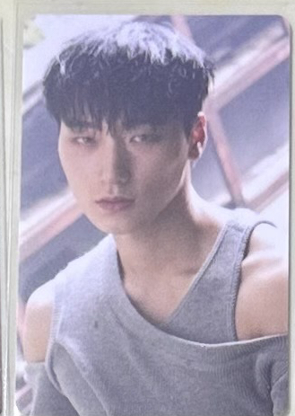 From the Witness 專輯卡 傘