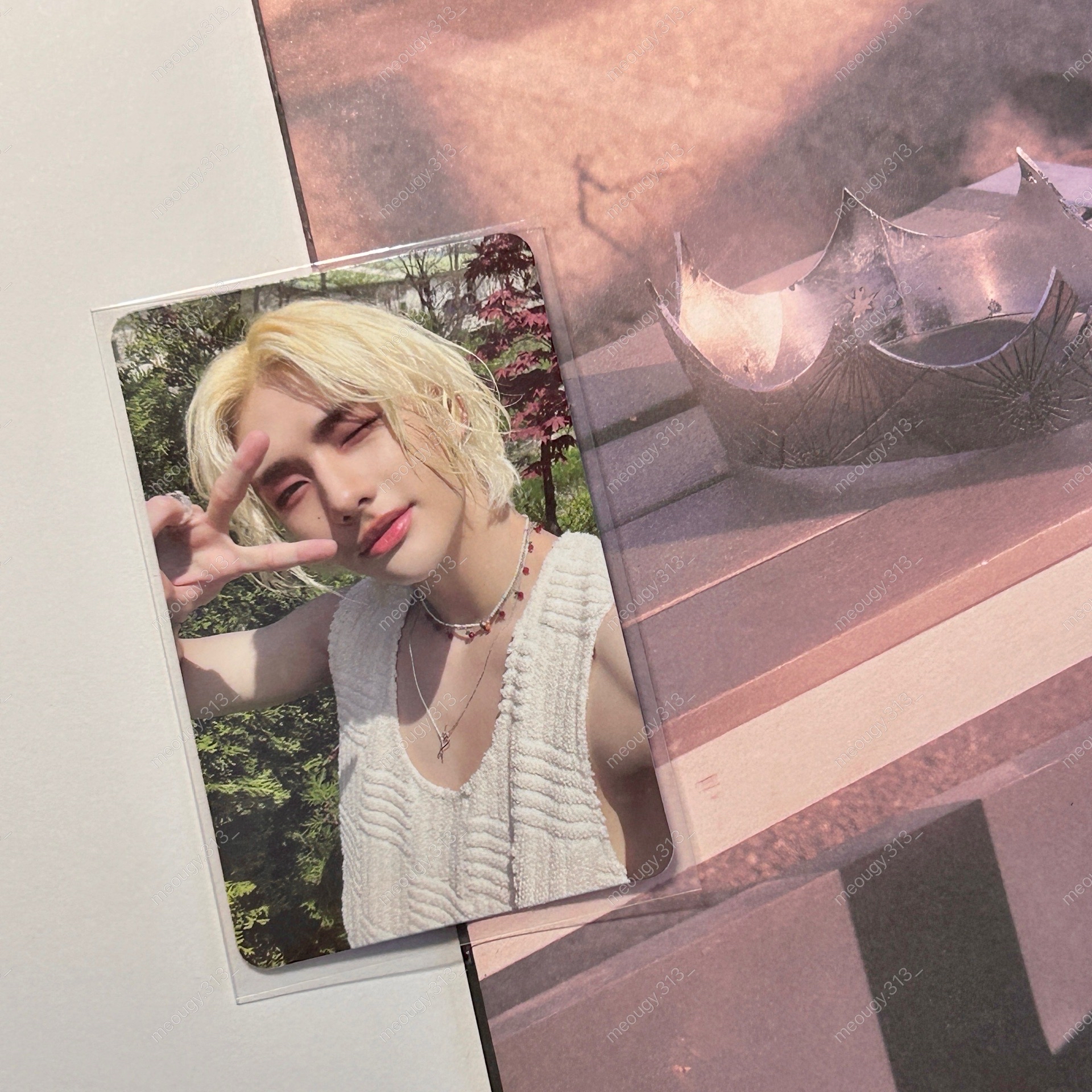 MAXIDENT 專輯卡 T-Crush 金長辰