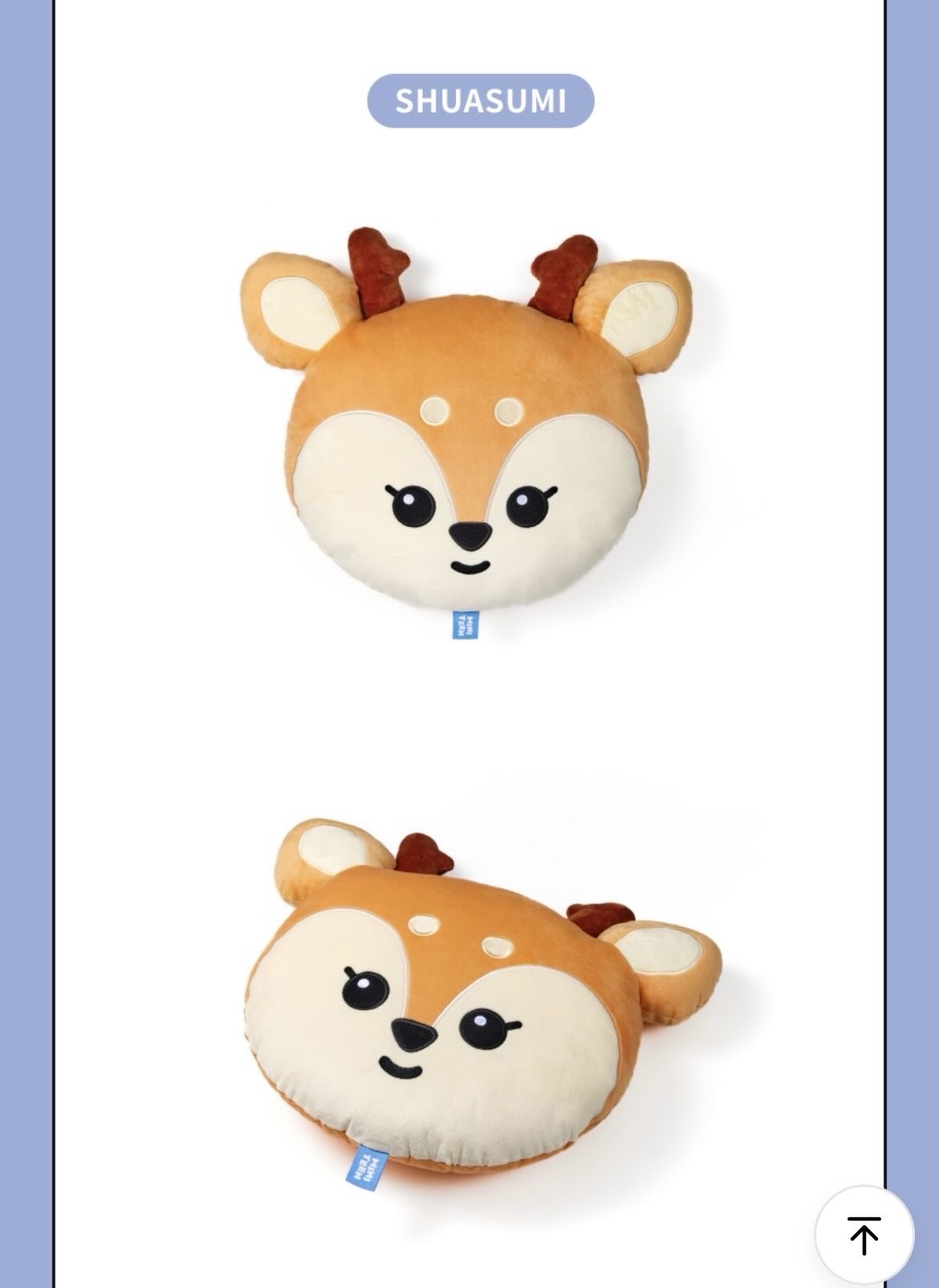 洪知秀 Joshua miniteen shuasumi抱枕