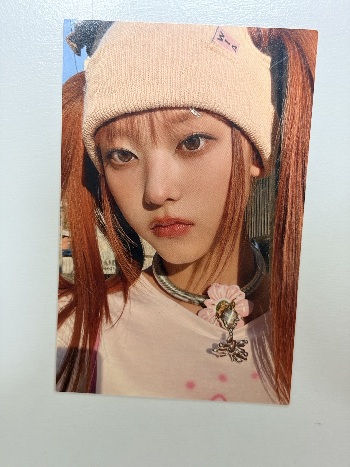 限量200張 日咖抽選貓