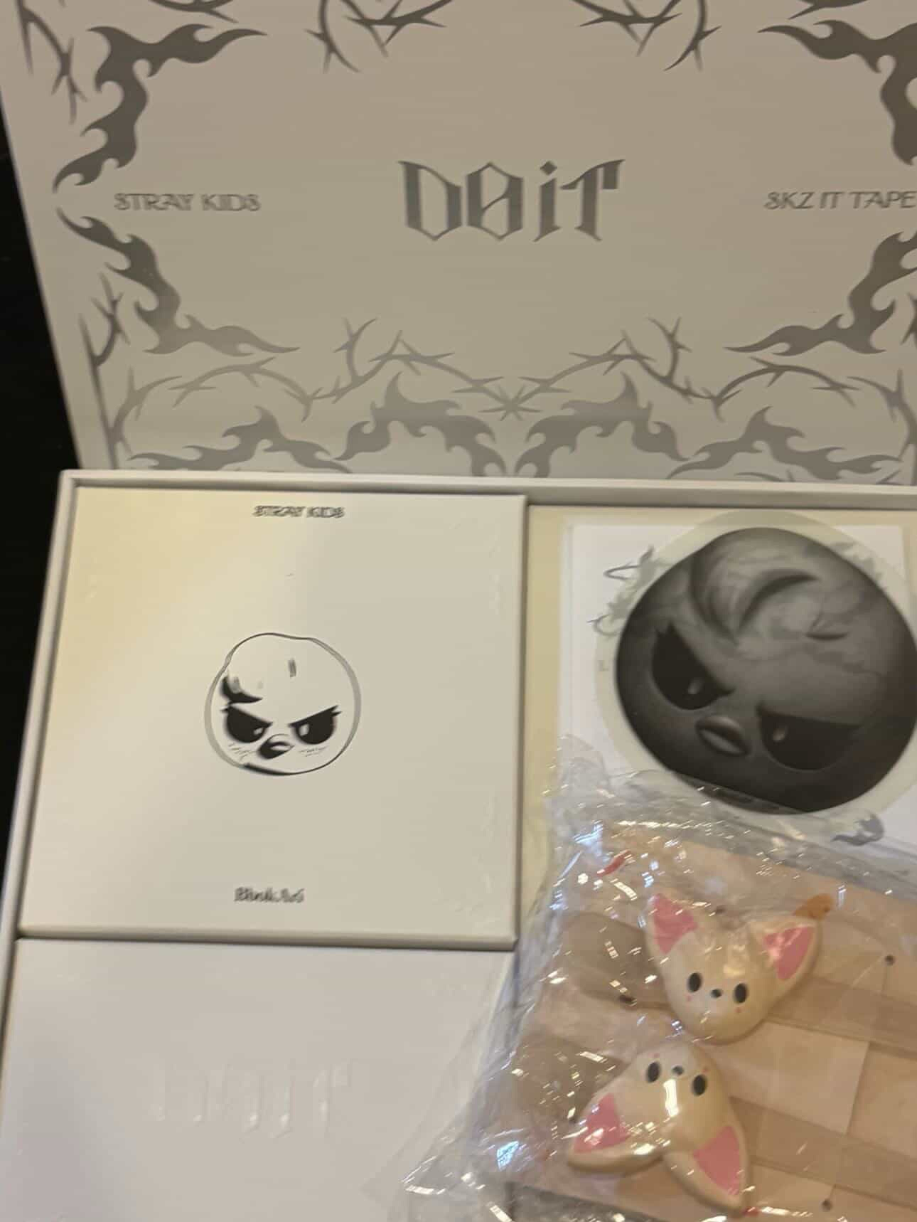 Straykids 菲音響專+寅髮夾