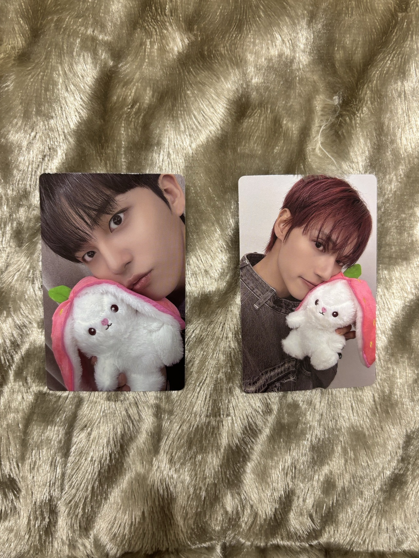 GH4兔兔🐰鐘、榮、星（可換傘見內文）