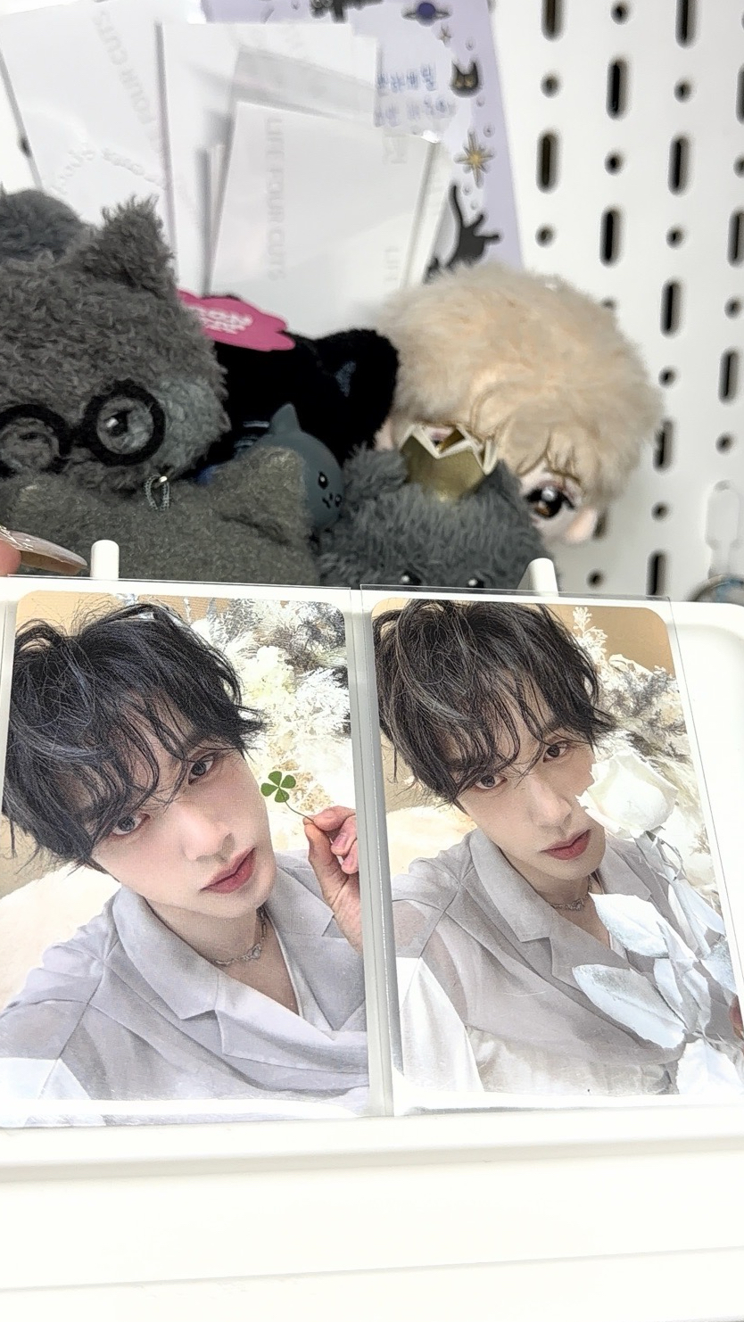 拿花熊 迷五入場卡（右）