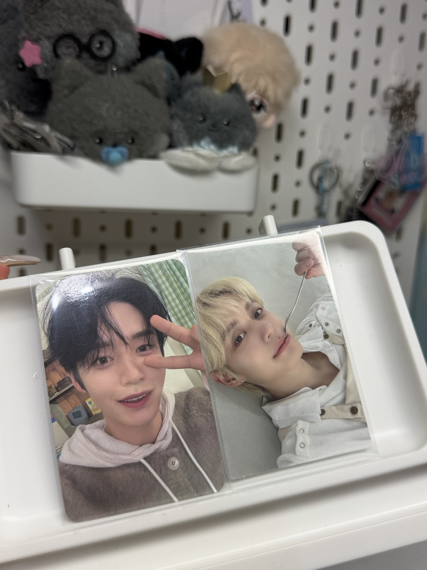 晚安蛋糕雄 中背