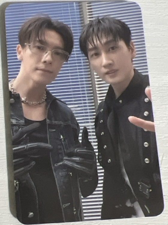 SUPER JUNIOR D&E  INEVITABLE 銀赫 東海 雙人小卡