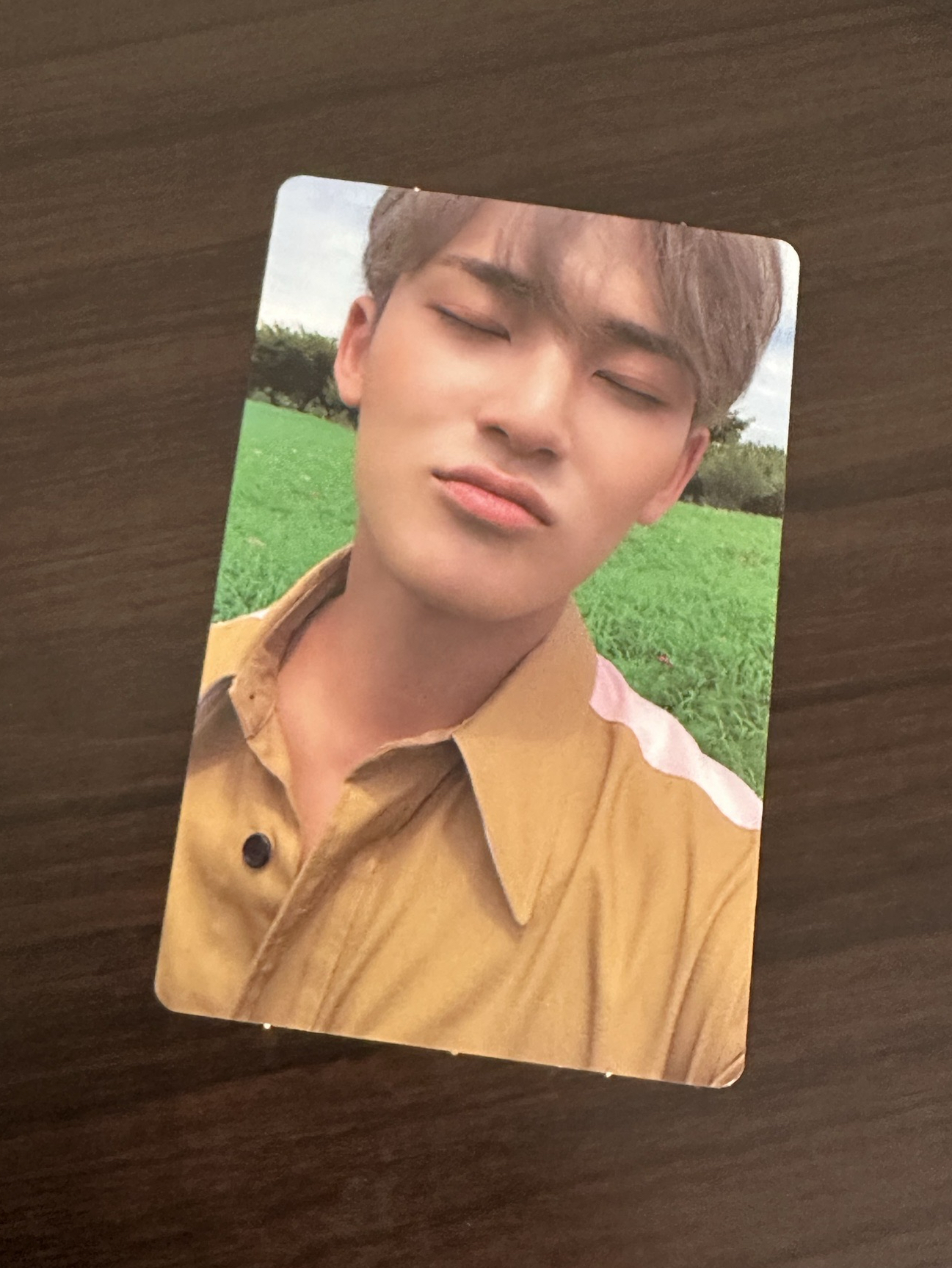 SEVENTEEN 金珉奎小卡