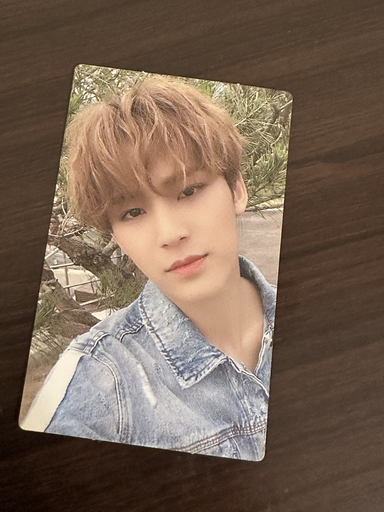 SEVENTEEN 金珉奎小卡