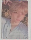 迷六貓兒彬綁180