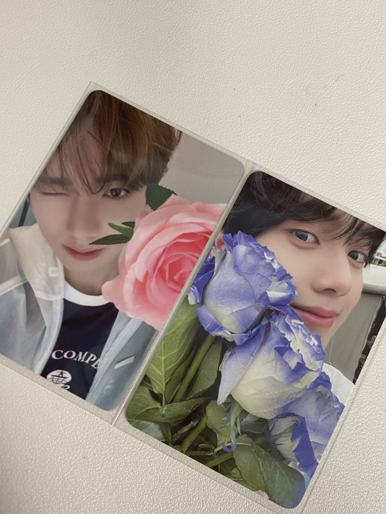 玫瑰花中背+會員禮辰